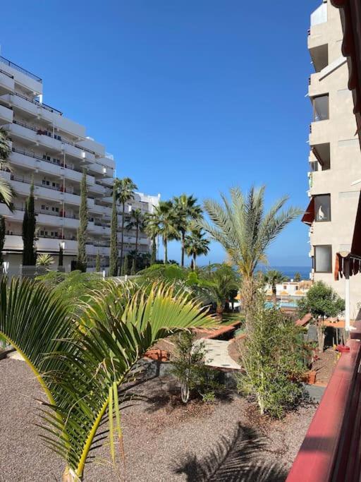 Delizioso Studio Residence Olympia A Playa De Las Americas Dış mekan fotoğraf